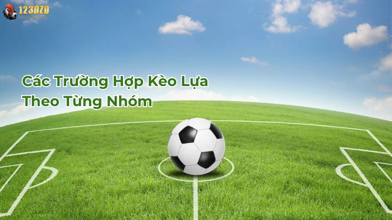 Các trường hợp kèo lựa theo từng nhóm