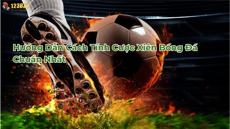 Hướng dẫn cách tính cược xiên bóng đá chuẩn nhất